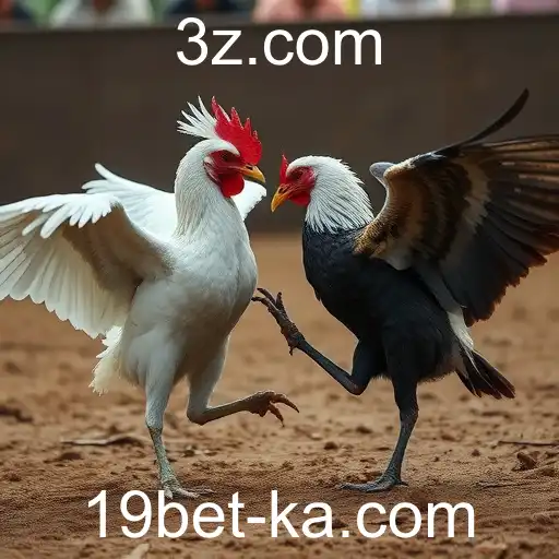 Rinha de Galos: Uma Tradição Controversa e Suas Implicações